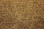 Picture of Plain Natural Coir Doormat 35x60cm