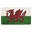 Picture of Welsh Flag Latex Coir Doormat 40x70cm