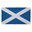 Picture of Scottish Flag Latex Coir Doormat 40x70cm