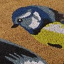 Picture of Birds Latex Coir Doormat 45x75cm