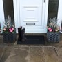 Picture of Alvaro Welcome Door Mat 45x75