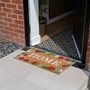 Picture of Eco-Friendly Latex Backed Coir Doormat, 40x70cm - Strawberry Fields