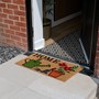 Picture of Eco-Friendly Latex Backed Coir Entrance Doormat, 45x75cm - Gardener