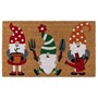 Picture of Eco-Friendly Latex Backed Coir Entrance Doormat, 45x75cm - Gardening Gonks
