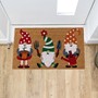 Picture of Eco-Friendly Latex Backed Coir Entrance Doormat, 45x75cm - Gardening Gonks