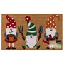 Picture of Eco-Friendly Latex Backed Coir Entrance Doormat, 45x75cm - Gardening Gonks