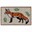Picture of Eco-Friendly Latex Backed Coir Entrance Doormat, 45x75cm - Fox