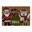 Picture of Latex Backed Coir Entrance Doormat, 40x58cm, Santa