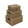 Picture of Set of 3 Rectangular Seagrass Storage Baskets with Lids