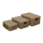 Picture of Set of 3 Rectangular Seagrass Storage Baskets with Lids