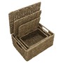 Picture of Set of 3 Rectangular Seagrass Storage Baskets with Lids